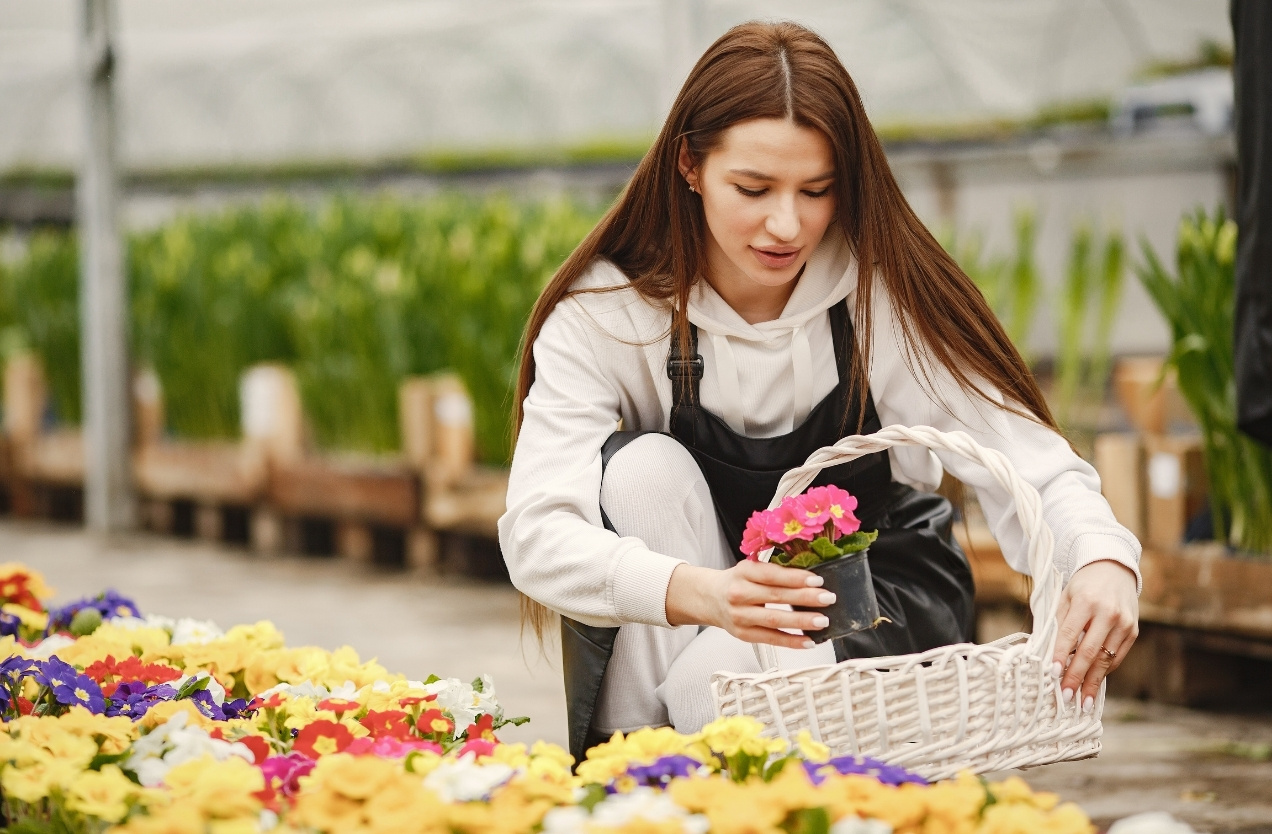 Chelsea Flower Show Chauffeur Service